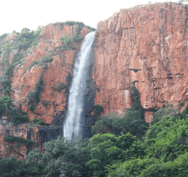 Tirumala Three Days Package (With Accomodation) 